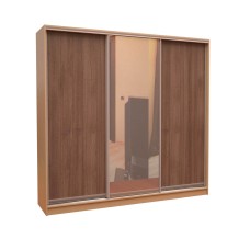 Шафа-купе «ШН-204» ДСП/Дзеркало/ДСП