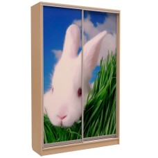 Шафа-купе «ШН-134» Фотодрук/Фотодрук