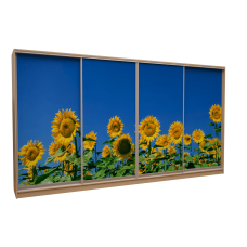 Шафа-купе «ШН-404» Фотодрук/Фотодрук/Фотодрук/Фотодрук