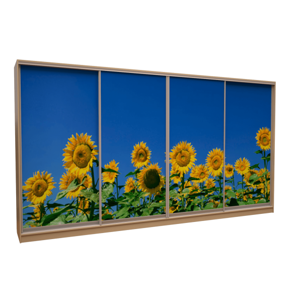 Шафа-купе «ШН-326» Фотодрук/Фотодрук/Фотодрук/Фотодрук