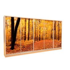 Шафа-купе «ШН-504» Фотодрук/Фотодрук/Фотодрук/Фотодрук/Фотодрук